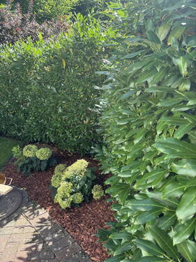 Garten - 