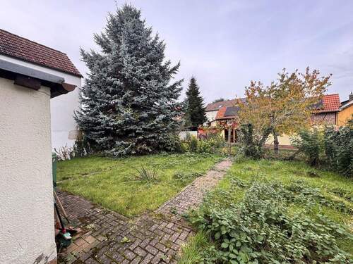 Garten - Einfamilienhaus mit 128,00 m&sup2; in Kleinostheim zum Kaufen