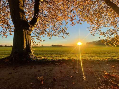 Sonnenuntergang Allee - Einfamilienhaus mit 145,70 m&sup2; in Flörsheim / Bad Weilbach zum Kaufen
