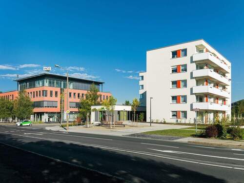 Bild 3 - 2 Zimmer Etagenwohnung zur Miete in Dresden