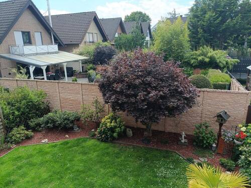 Bild 11 - 