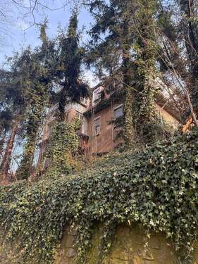 Ansicht - 8 Zimmer Mehrfamilienhaus, Wohnhaus zum Kaufen in Meißen