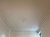 Stuckdecken - 