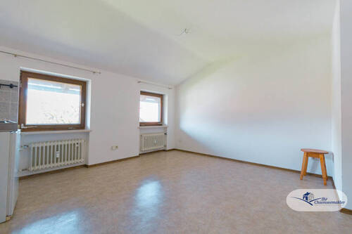 Zimmer DG 2 - 