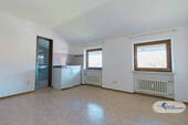 Zimmer DG 2 - 
