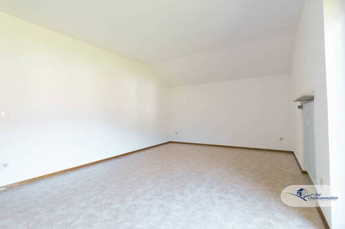 Zimmer DG 2 - 