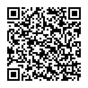QR-Code - 