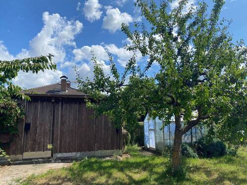 Schuppen / Gewächshaus - 