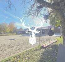 Stilvoller Pferdehof mit flexiblem Gewerberaum, zwei Wohnungen und 1,3 ha arrondierter Fläche direkt am Hof in Leibertingen im Donautal