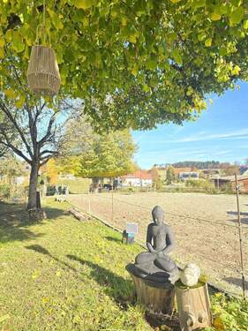 Schlatter Immobilien Villingen-Schwenningen Reitpl - 9 Zimmer Einfamilienhaus in Leibertingen