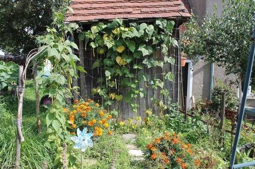 Garten - Einfamilienhaus mit 170,00 m² in Mansfeld zum Kaufen