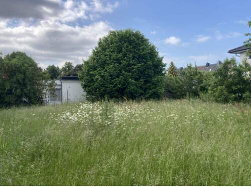 rückseitiger Garten - 