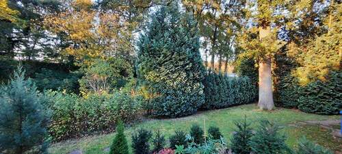 Spielgartenbereich - 5 Zimmer Doppelhaushälfte zum Kaufen in Neu Wulmstorf