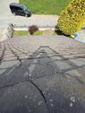 Dach - 