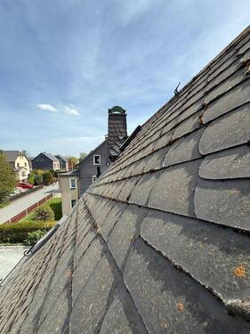 Dach - 