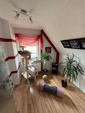 Zimmer - 