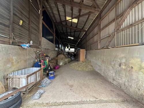 Stall-lager.jpg - 