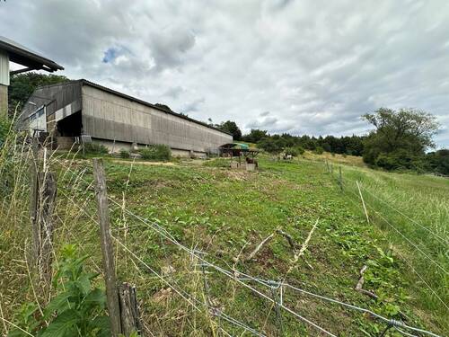 Stall-Offenstall Koppeln.jpg - 