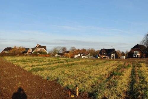 Bild 2 - Grundstück zum Kaufen in Dersau