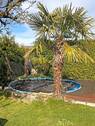 Poolbereich - 