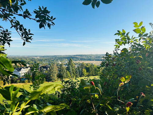 Aussicht hinter dem Haus - 