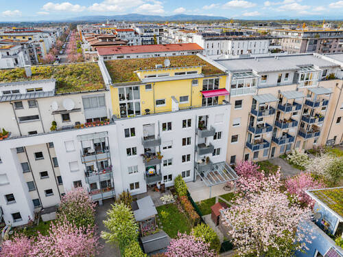 Aussenansicht - 