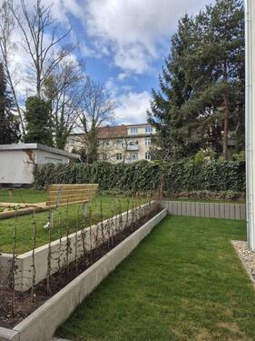 Garten bis Steinkante - 3 Zimmer Etagenwohnung zur Miete in Berlin