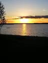 See - 