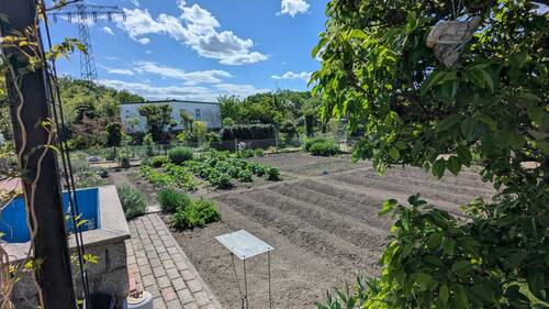 Garten Beete - 