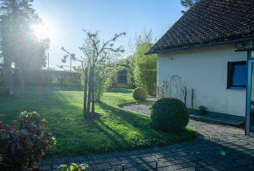 Morgensonne Blick Osten - 