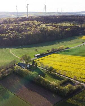 Haus und Wiese Luftbild - 