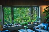 Wohnzimmer Blick ins Grüne - 