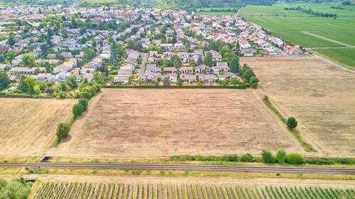 Ansicht - Neubaugebiet ,,Am Schwabenbach - 11 attraktive Grundstücke in Wachenheim!