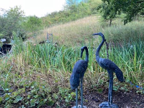 Gartenimpressionen 1 - 