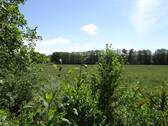 DSC08541.JPG - 