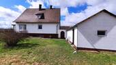Rückseite mit Schuppen - 