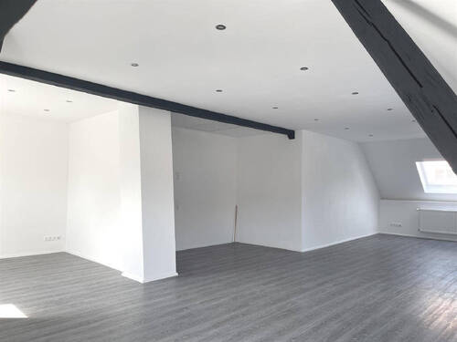 Bild11 - 