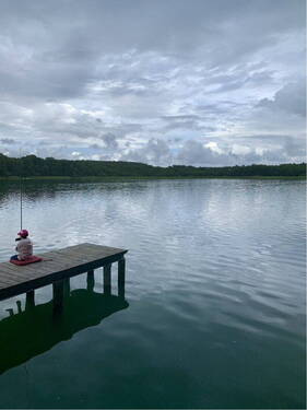 Bild 11 - 