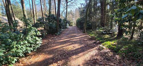 Grundstücksauffahrt - 