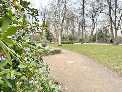 Stadtpark - 