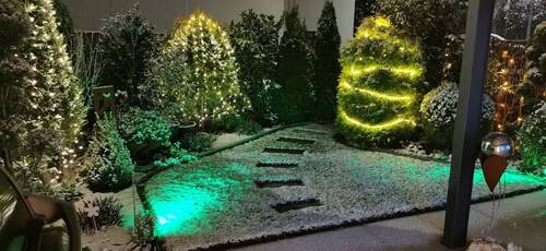 Garten im Winter - 