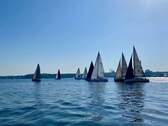 Segelregatta - 
