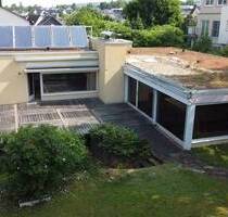 SAARBURG nahe LUX und TRIER, Einfamilienhaus im Bungalowstil mit parkähnlichem Garten