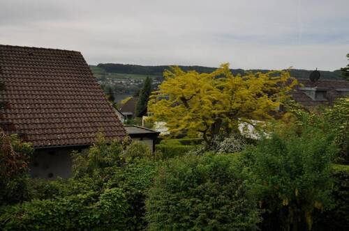 Teilseesicht - 