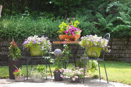 Ansicht Terrasse 4 - 