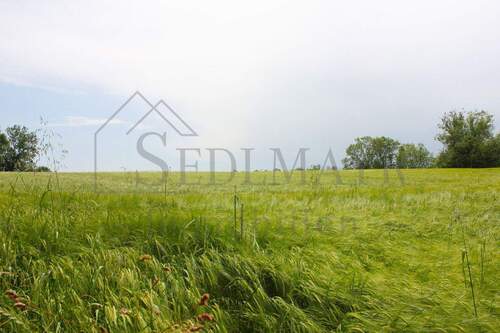 Impressionen - VERKAUF: Gepflegte und grüne Oase in Seefeld