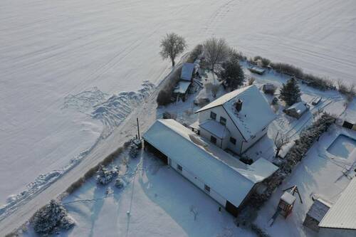 PHOTO-2026-04-11-11-41-20 2.jpg - 