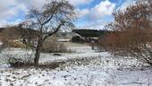 Bild 3 - Grundstück in Niedereschach-Schabenhausen