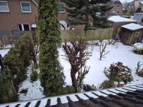 Blick in den Garten - 