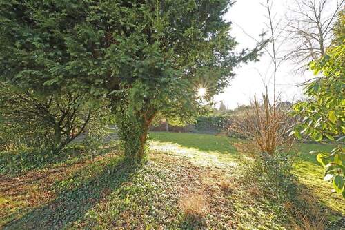 Parkähnlicher Garten - 